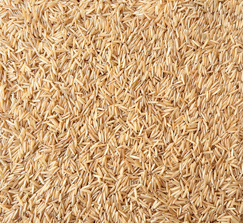 Premium Basmati Rice