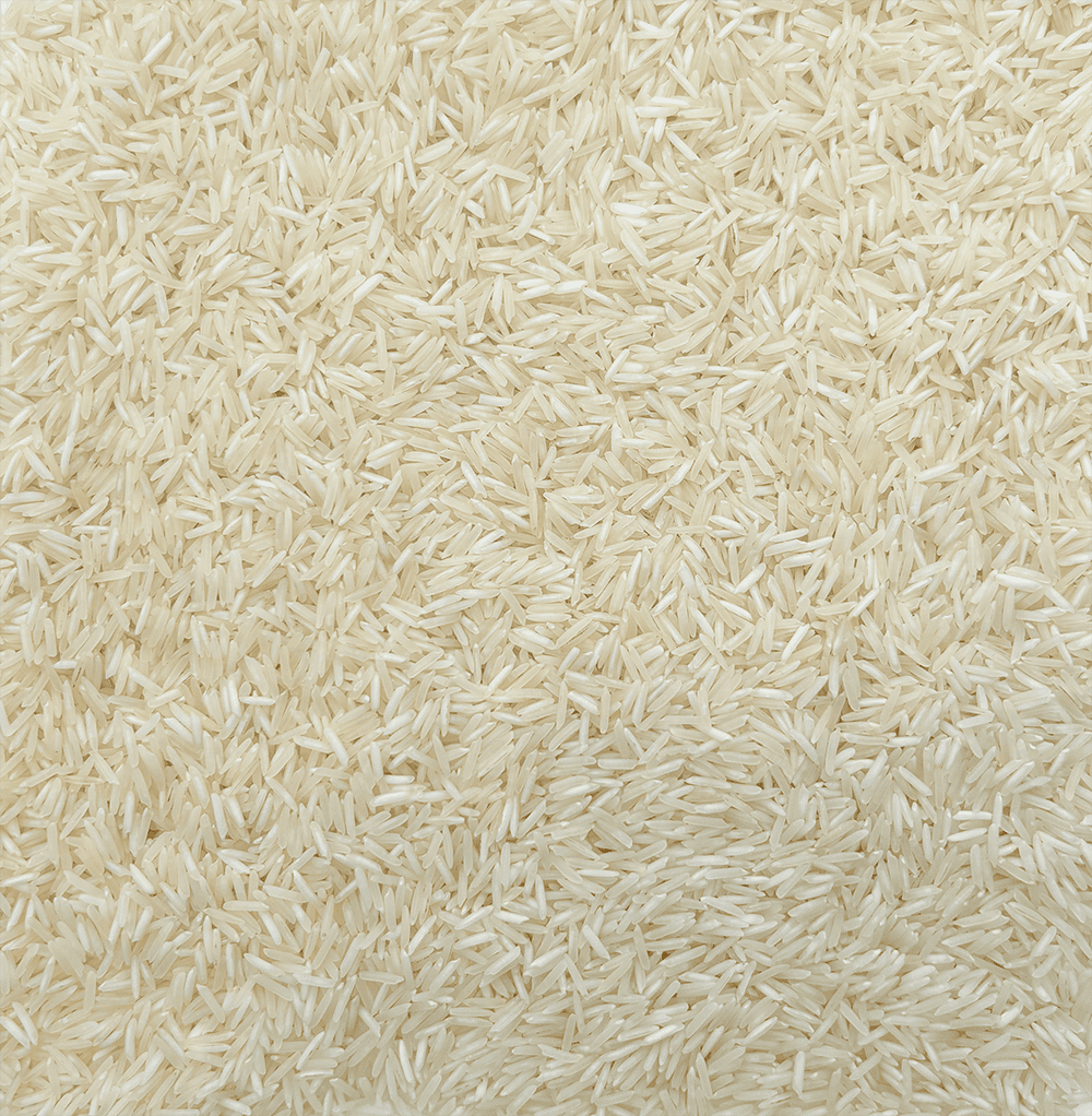 Premium Rice